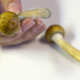 Illustration for article titled Santa Cruz Is the Latest U.S. City to Decriminalize Magic Mushrooms